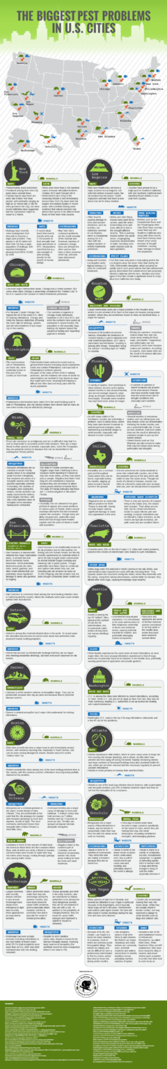 Understanding Pest Problem What is considered a pest problem - The Landscaping Zone