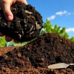 Do I need to mix compost with topsoil