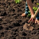 Does wetting soil make it easier to dig