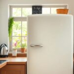 What do British people call a fridge