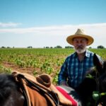 What do farmers use to turn over soil