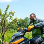 What is the best tool for small tree removal