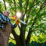 What is the best tool to cut tall tree branches