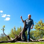 What is the best tool to cut thick tree branches
