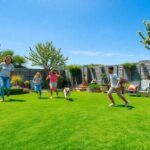 Why everyone is ditching traditional grass