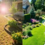 Your yard can look like this with just one change